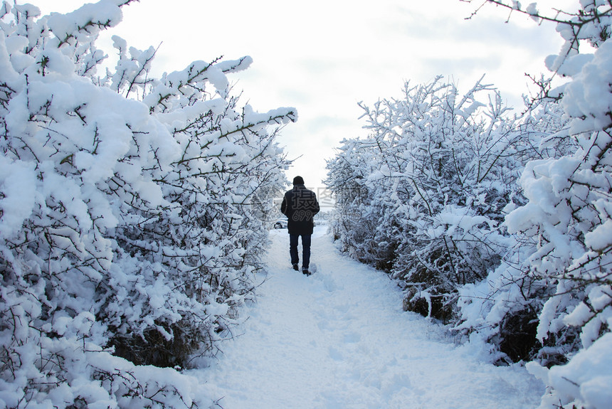 霜冷冻库尔曼人走在狭小的步行道上在雪覆盖的风景中图片
