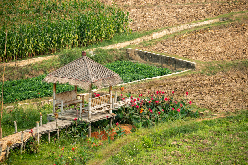 乡村的环境假期农业地区有绿色植被和农耕者小屋图片