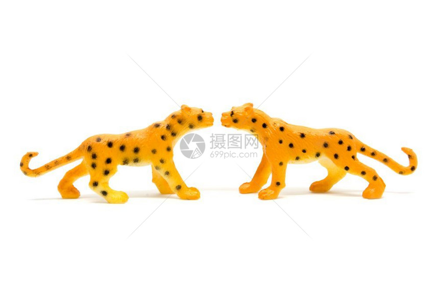 猫在白色背景上孤立的豹型模动物玩具塑料生态系统丛林图片