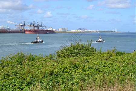 水卫队排放在Rozenburg的国土上除了自然以外许多行业都能看到鹿特丹港荷兰博莱克岬角背景