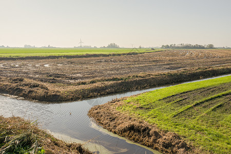 景观反射背光下的草和水农村图片