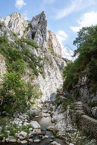 爬坡道草游客河水流在峡谷中动图片