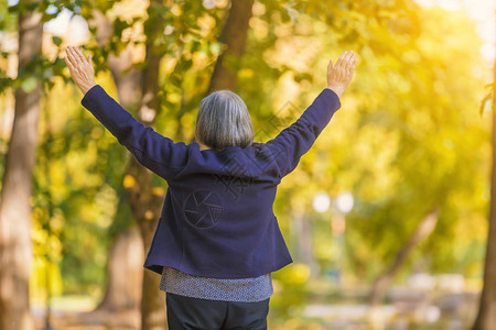 白种人色的自由身手伸展在秋天公园的身高等不端的妇女在秋天看树的年长妇女双手举起后仰望着秋天的树木背景图片