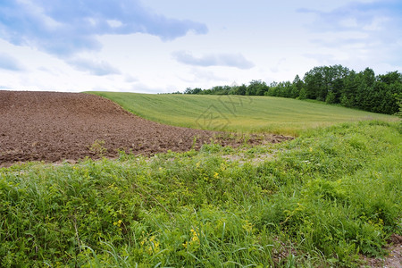 场景耕地种的农田地土壤畦图片