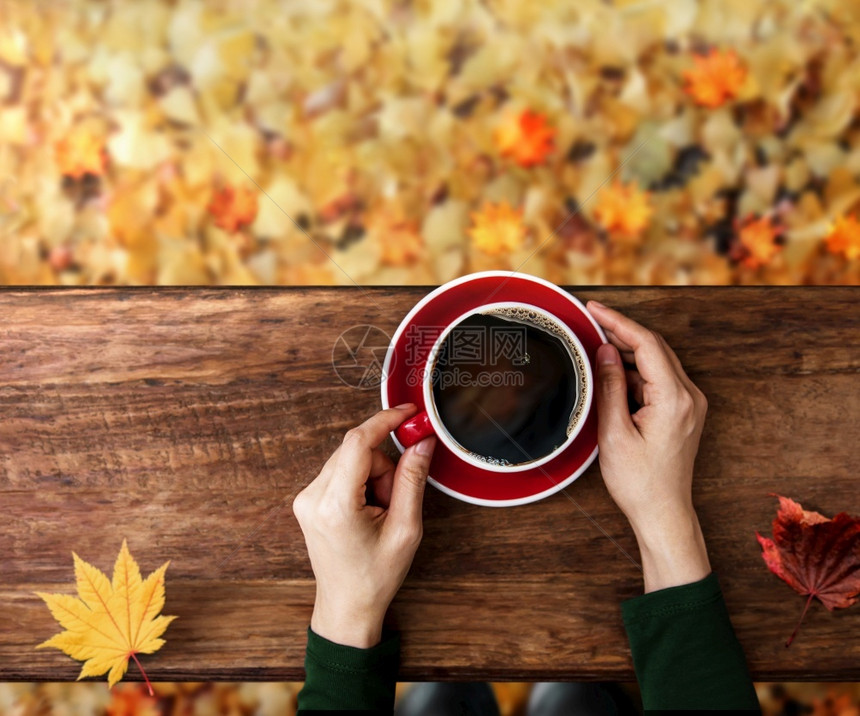 落下早餐坐着秋瀑和的咖啡饮有热杯的人坐在秋多彩树底的后院或公园作为背景最佳视野图片