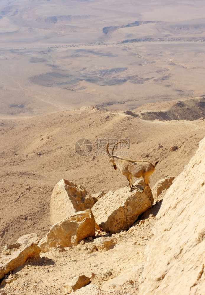 棕色的阳光MakhteshRamon以色列独有的弹坑温度图片