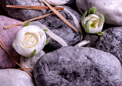 白玫瑰花芽的灰宝石白玫瑰和金色的石头白玫瑰和银石色的油温泉图片