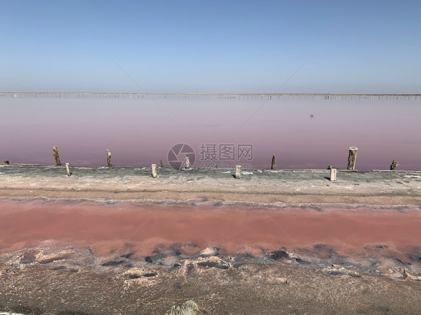 泻湖独特美丽的盐粉红水湖的景色在夏日支撑图片