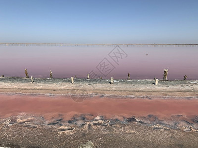 泻湖独特美丽的盐粉红水湖的景色在夏日支撑图片