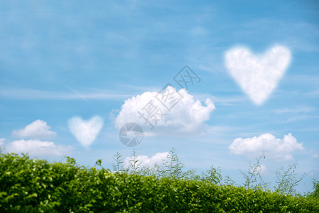 艺术景观蓬松的蓝天上一片青草地云彩如心图片