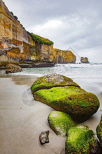 旅游风景新西兰地道海滩的一幅图象晴天图片