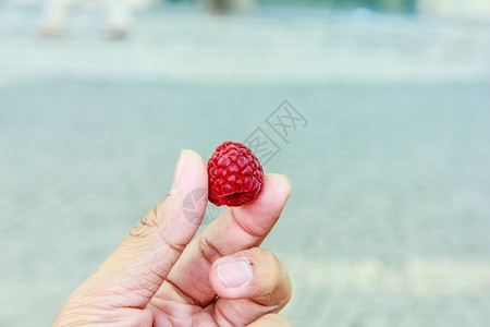 甜点在人手中紧地闭着rasberry手指新鲜的图片