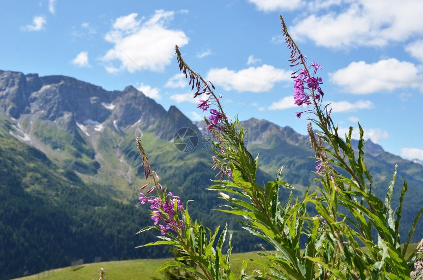冒险瑞士戈特哈德山口阿尔卑斯风景曲线戴尔图片