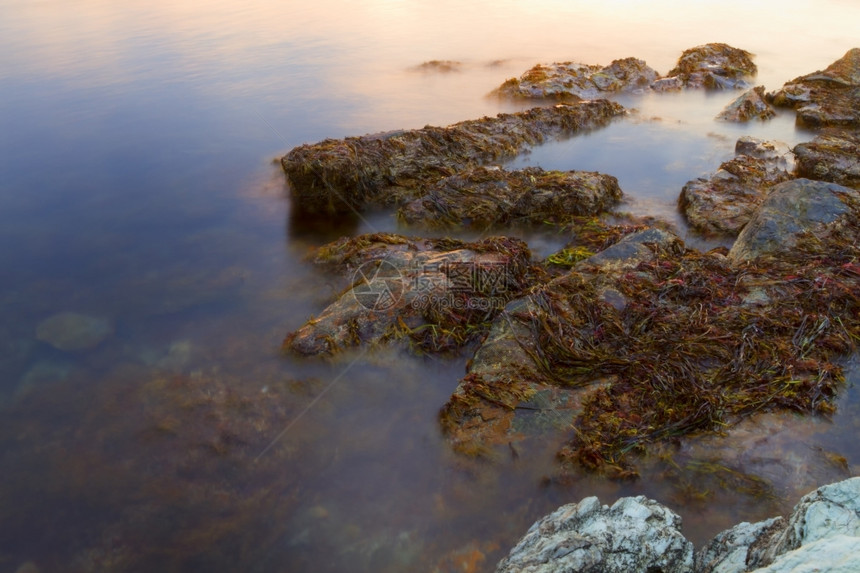 日落在岩石海岸日落在岩石海岸季节摄影股票图片