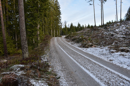 空的林业景观在冬季穿过树林的风沙石路冬季穿透森林图片