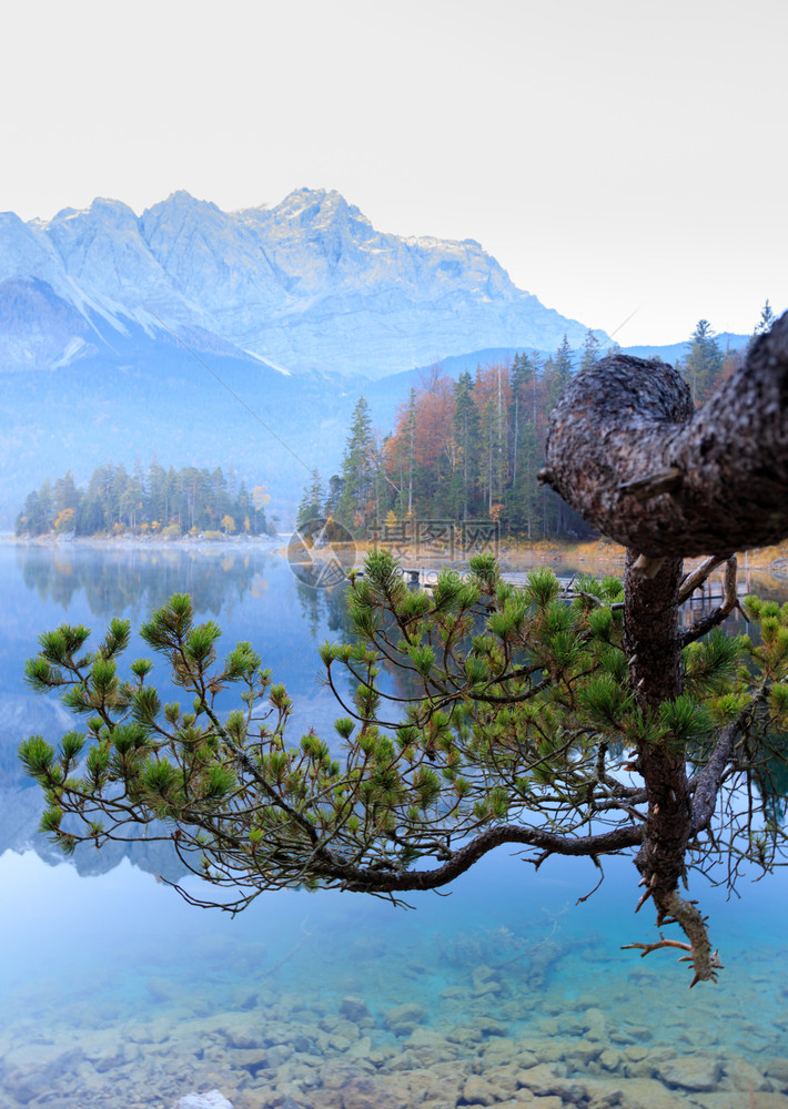 山湖中阿尔卑斯的反射早期颜色德国图片