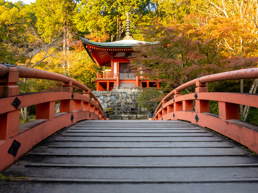 日本秋京都大地寺庙十一月秋天醍醐寺图片