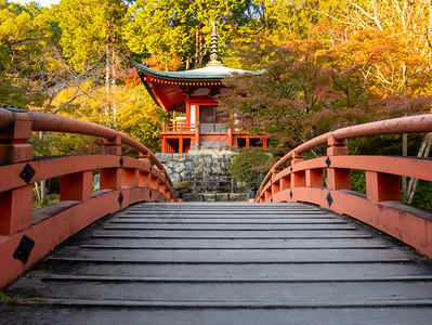 日本秋京都大地寺庙十一月秋天醍醐寺图片