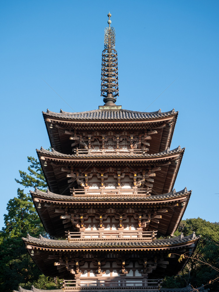 桥日本秋京都大地寺庙旅行十一月图片