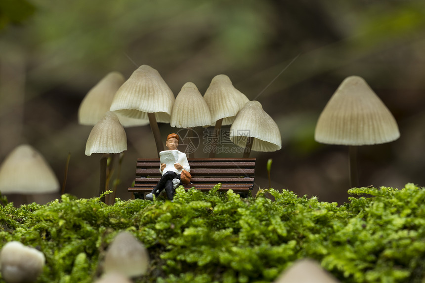 一个小人物在读报纸躺木林里的真菌下住在霍兰的森林里在胡兰的森林里睡在莫兰德森林里的弥天大草地之下阅读腐烂在面图片
