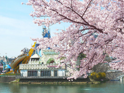 韩国乐天世界露天世界游乐主题公园和春花樱这是韩国首尔的主要旅游景点之一行绽放韩国人背景
