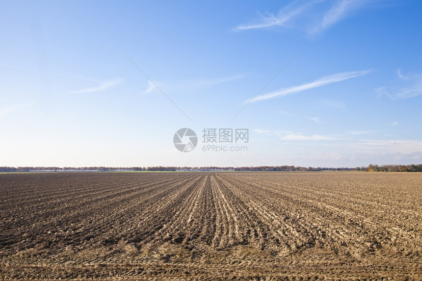 地平线云蓝色天空的荷兰农业地貌村图片