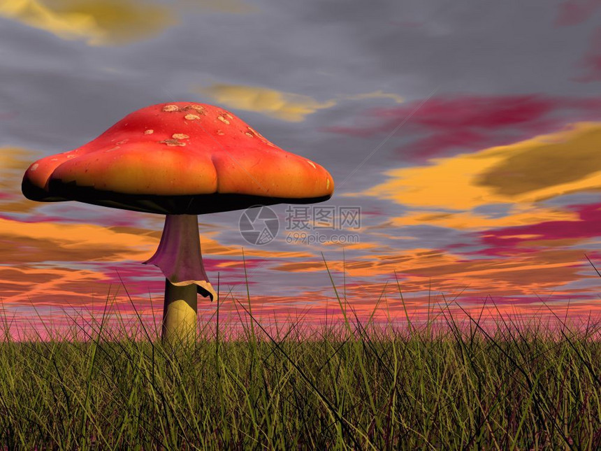 绿色草地上的一个仙女红蘑菇由多彩的阴云日落幻影蘑菇3D制成花园弗洛里着迷的图片