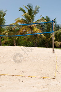 树木假期匹配热带海滩上的排球场周围环绕着棕榈树蓝天图片