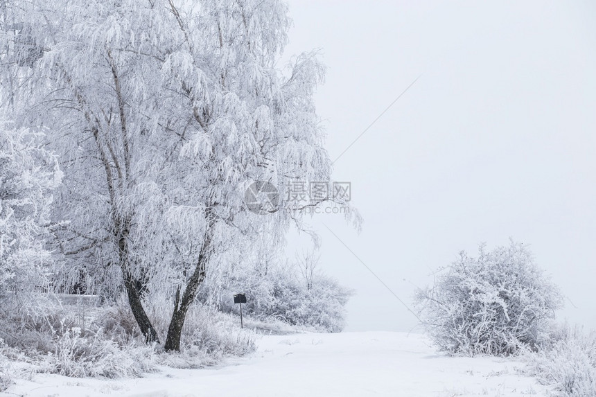 冰冻的树木和在雪中的道路美丽白冬天苍季节图片