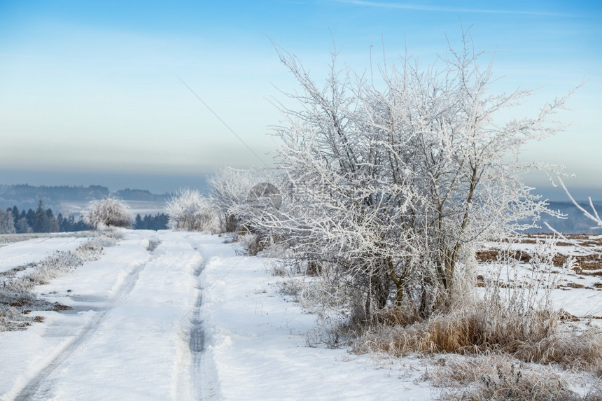 季节自然冰冻的树木和在雪中的道路美丽白冬二月图片