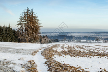 景观冬季风田野和蓝天空有冻着的树木头全景图片