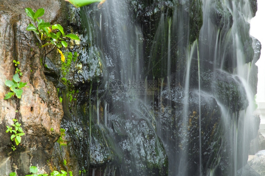 池塘溪流装饰花园中的瀑布种植小树和瀑布新鲜图片
