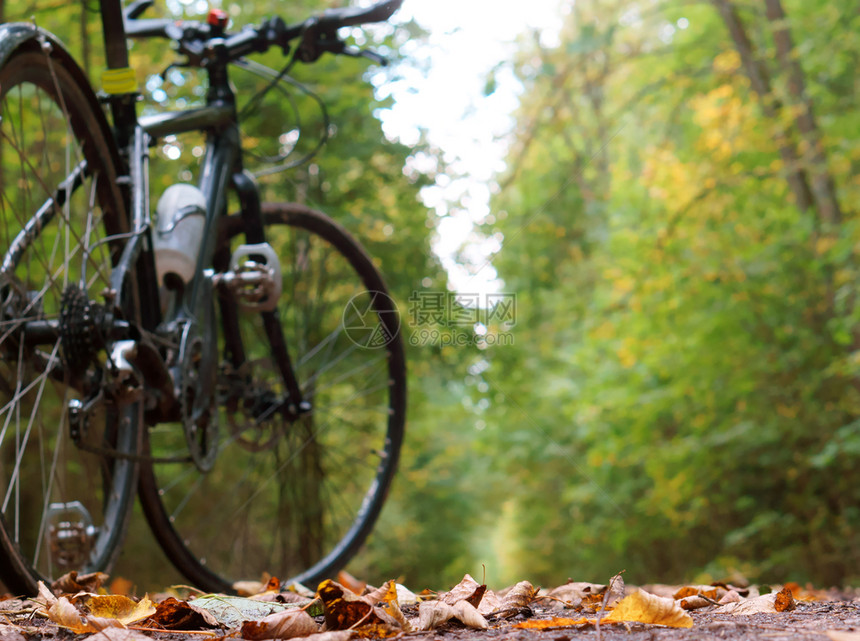 活动橙踪迹森林小径上的自行车秋天森林里的黑色自行车秋天森林里的黑色自行车森林小径上的自行车图片
