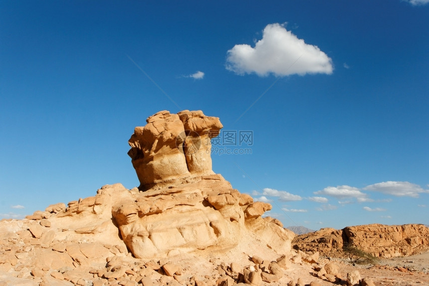 游客砂岩远足石化沙漠中的蘑菇形状银橙色岩石图片