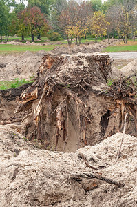在公园中挖掘沙土的树桩沟渠以在公园中铺设管道地球工作木头图片