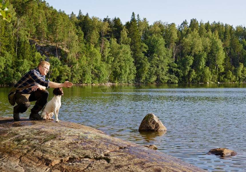 猎人训练他的英国斯普林格帕尼尔小狗在岸上细心观看自然图片