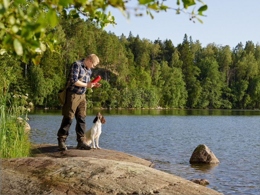 运动猎人训练他的英国斯普林格帕尼尔小狗在岸上坐着犬类图片