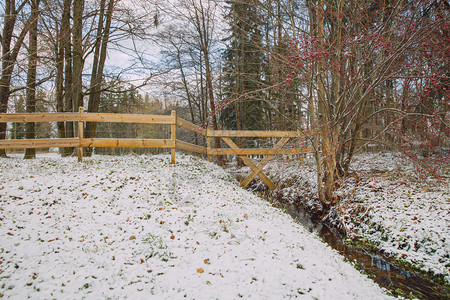 下雪的户外景观在冬天城市公园绿和雪30129图片