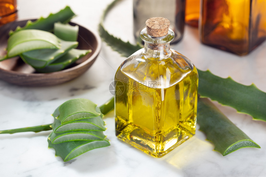 关心新鲜的用于皮肤护理水疗健康按摩芳香治疗的Aloe维拉基本油芦荟图片