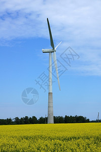 户外景观蓝天背的风力涡轮机干净的图片