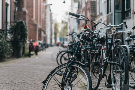 停放树阿姆斯特丹旧街上的自行车停泊荷兰语图片