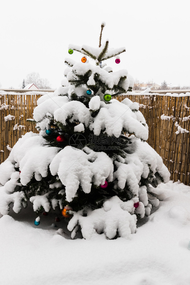 松树照明有许多圣诞树球下雪冷杉图片