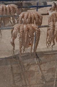 希腊卡林诺斯岛典型的章鱼干燥场景触手钩动物高清图片