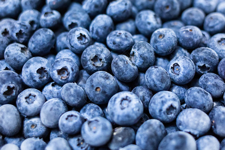 夏天桌上团体特写新鲜蓝莓分组宏观健康餐特写新鲜蓝莓分组宏观背景背景图片