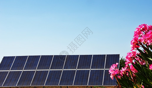 蓝色天空上的太阳能板和花束粉红色面板保护生态图片