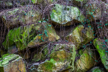 建造巨石山天然背景绿苔草和植物覆盖的大块岩石美丽型状图案图片