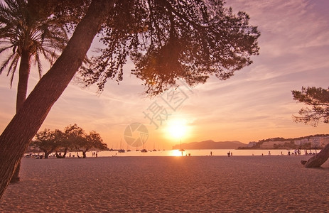 卡尔维亚夏日夜晚海滩上的落日背景