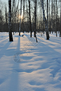 冬季雪景风光图片