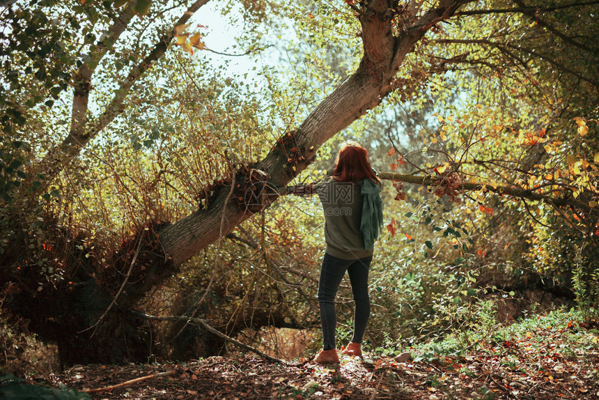 树年轻女子用旧的模拟相机在森林里拍照红发女郎服装图片