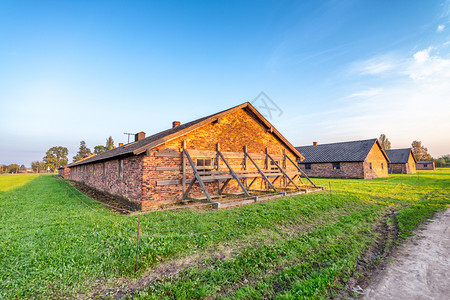 牛人集中营砖犯罪受害者奥斯威辛比尔克瑙集中营背景